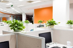 面试时如何回答“你的期望薪资是多少”？